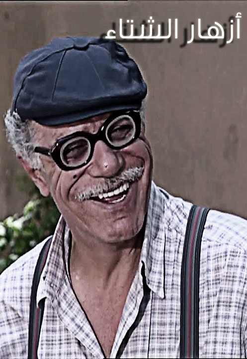 أزهار الشتاء